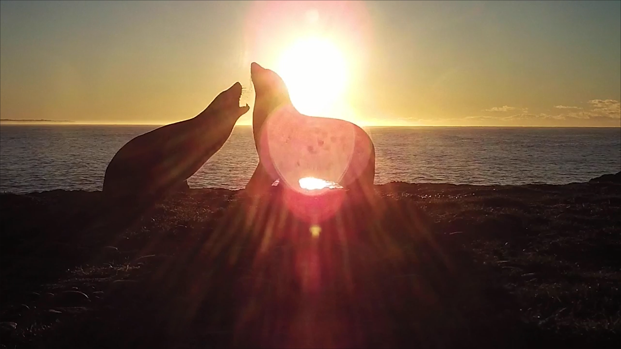 Neuseeland Screenshot 162