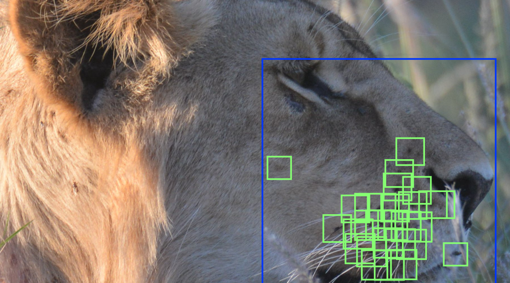 Whisker algorithm